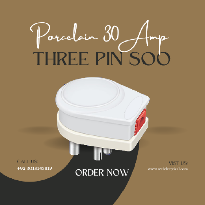 Three Pin Shoo Porcelain Based 30 Amp